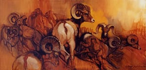 Rams-image