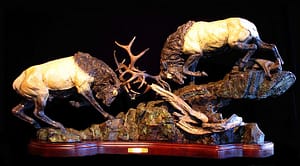 Primitive Force-image