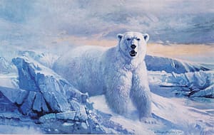 Polar Bear Blue-image