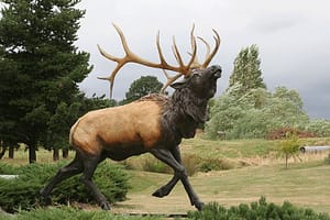 Heroic Elk-image