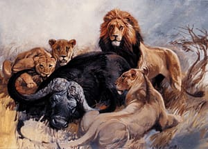 Reward of a Lioness-image