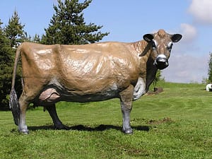 Maggie-image
