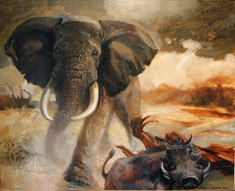 Elephant and Warthog main image