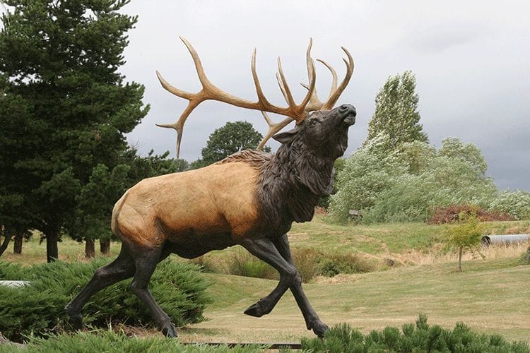 Heroic Elk main image