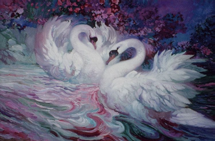 Swans-image